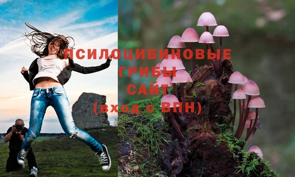 гашиш Алзамай