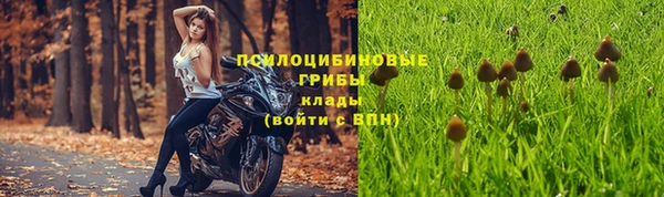 мяу мяу кристалл Алексин